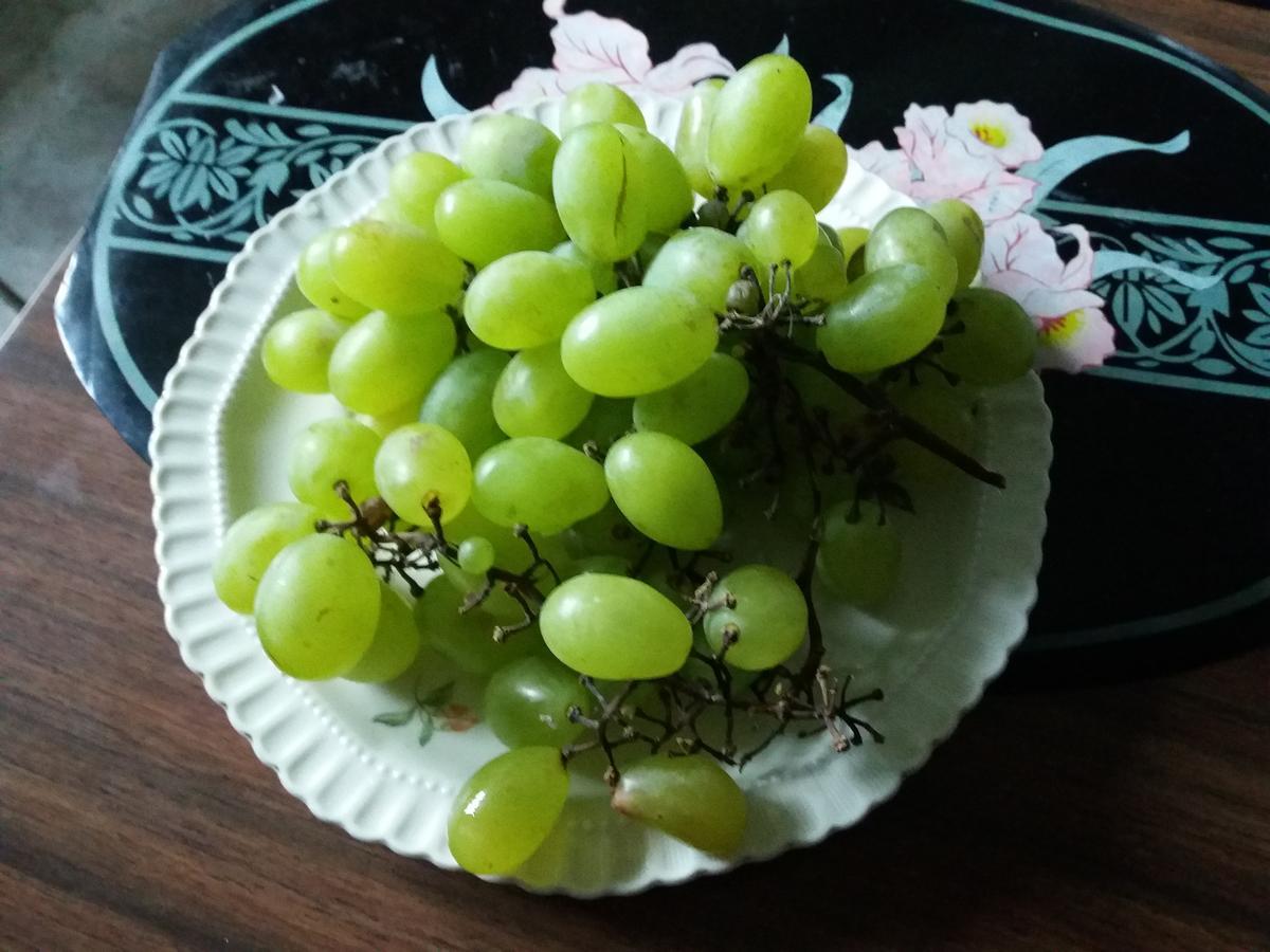Pashko Vasa Guesthouse Шкодер Экстерьер фото